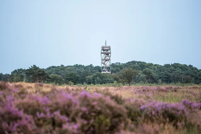 Kampeerautoplaatsen Parking Kalmthoutse Heide Nord