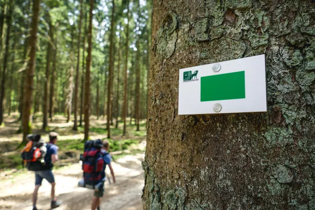 Aire de bivouac du Bois du Banè