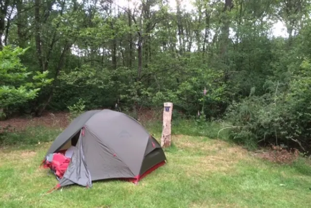 Paalkamperen Terhills