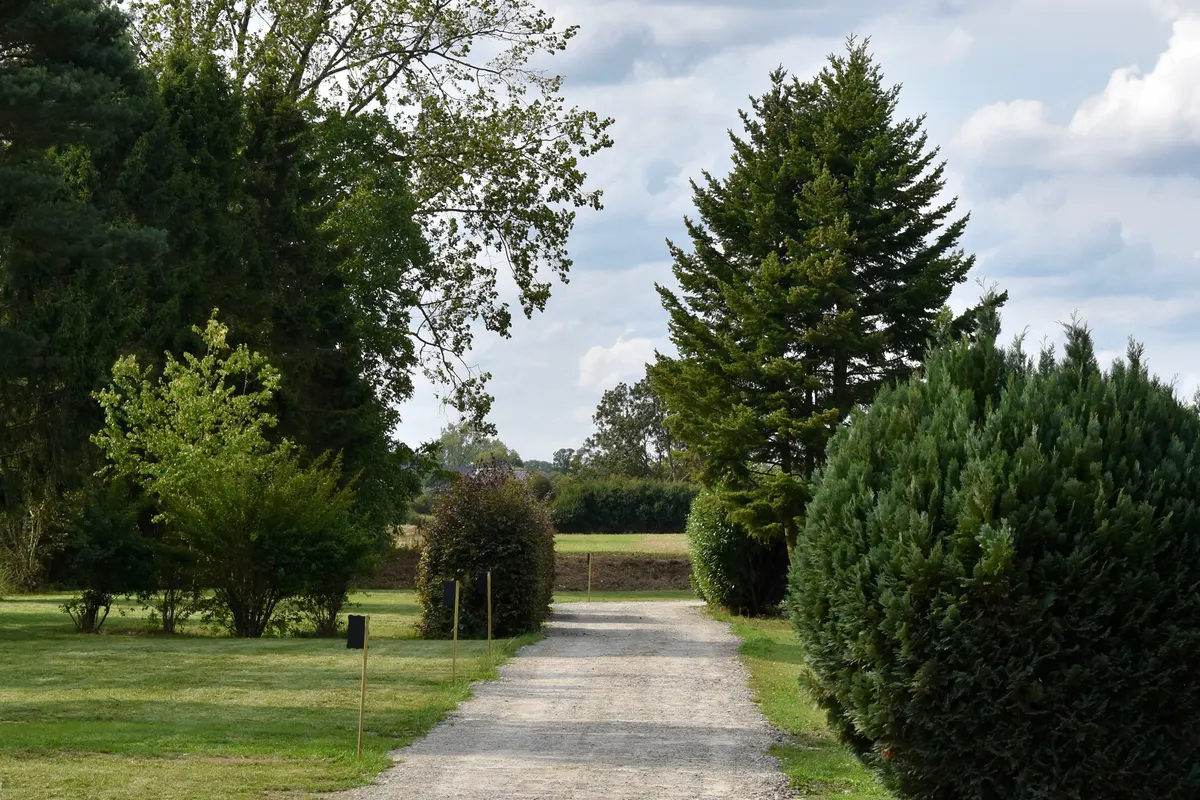 Les plus beaux campings en Nedersaksen — avec Naturresort Weserinsel à l'honneur