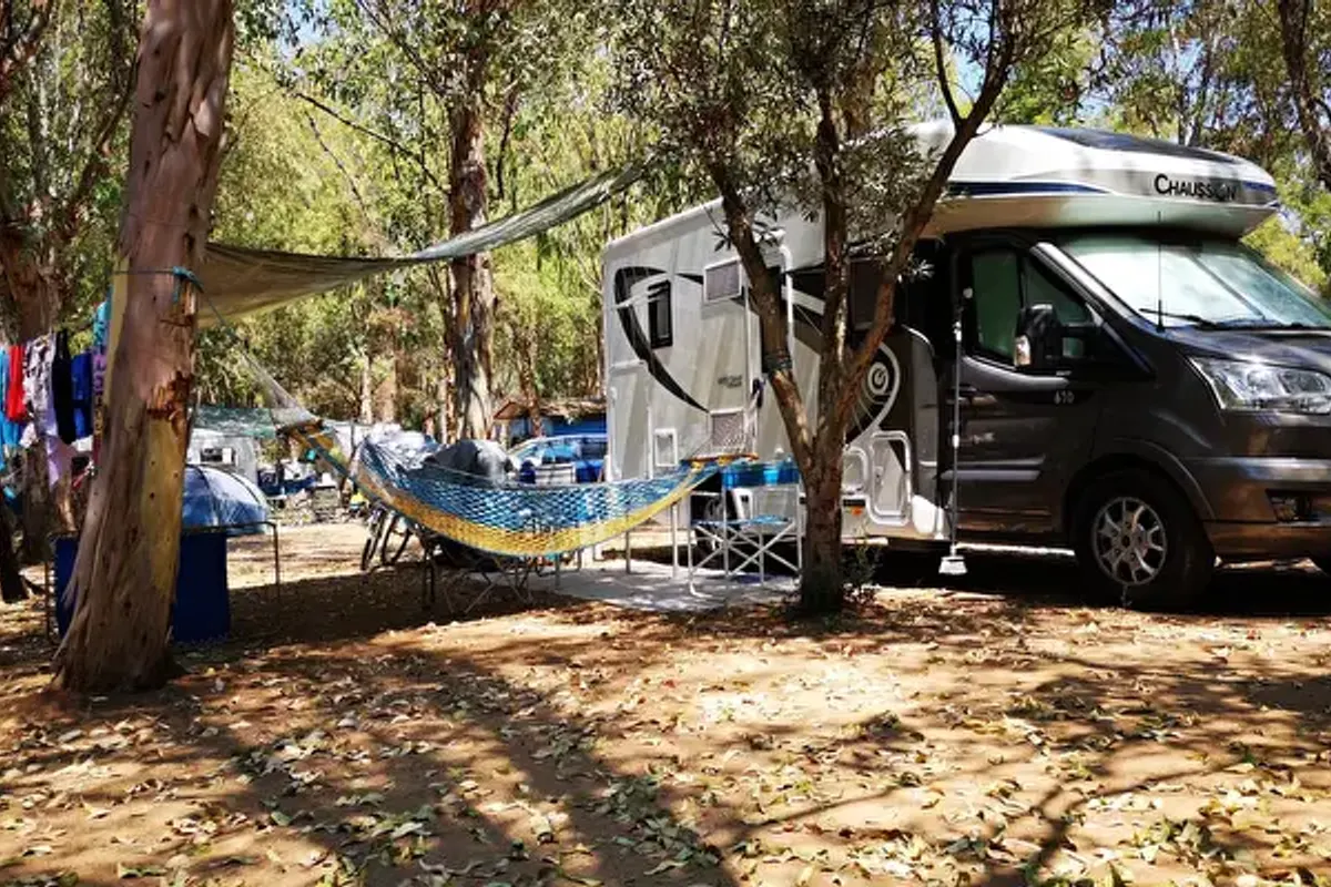 Camping Fico d'India