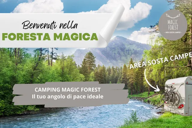 Magic Forest