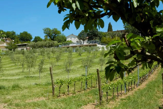 Agriturismo Sant Anna