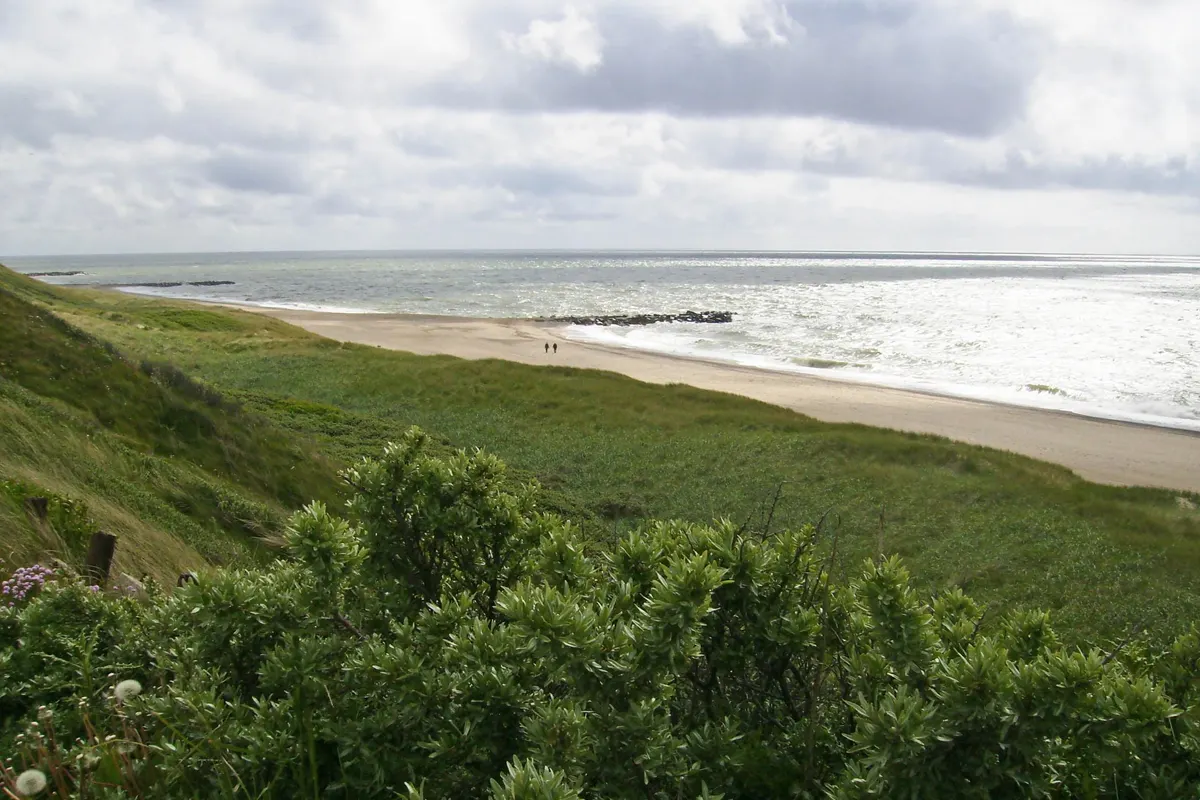 Bovbjerg Camping