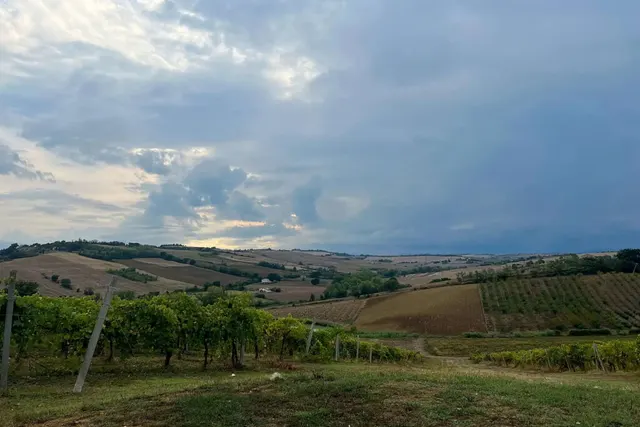 Agricampeggio Azienda Agricola Bertolacci
