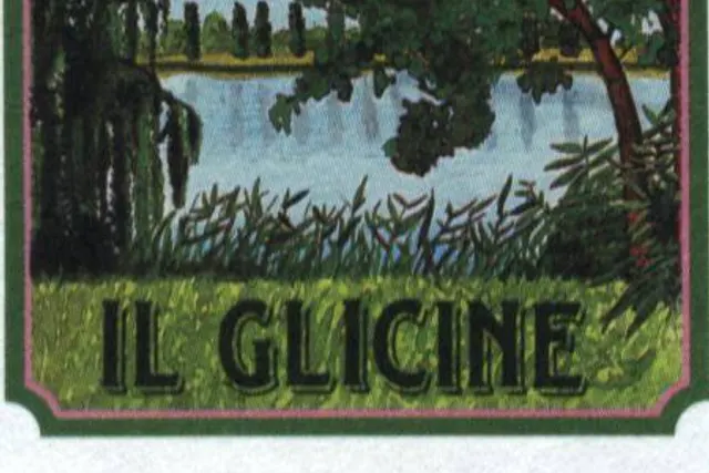 Agricampeggio Il glicine
