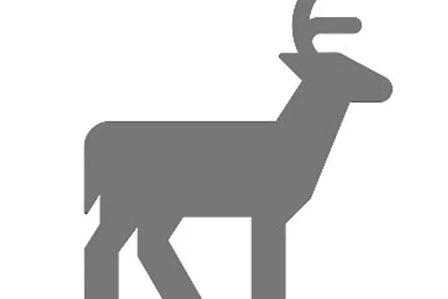 Stambecco