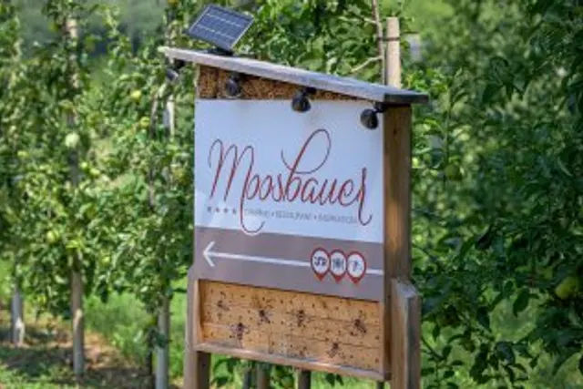 Camping Moosbauer