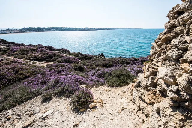 Camping Rocca dei Tramonti