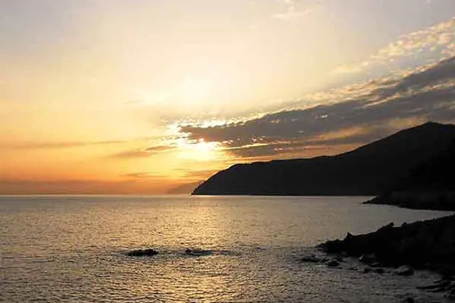 Degli Ulivi