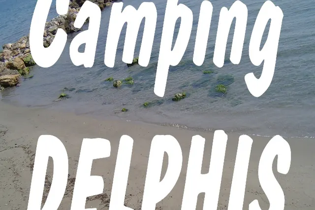 Delphis