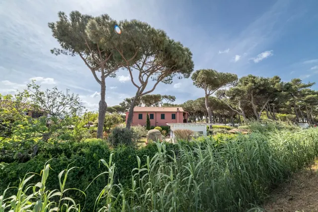Camping Bocche d'Albegna