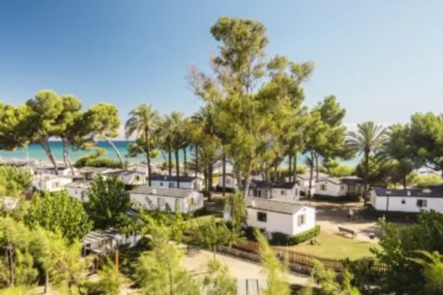 Camping Las Palmeras