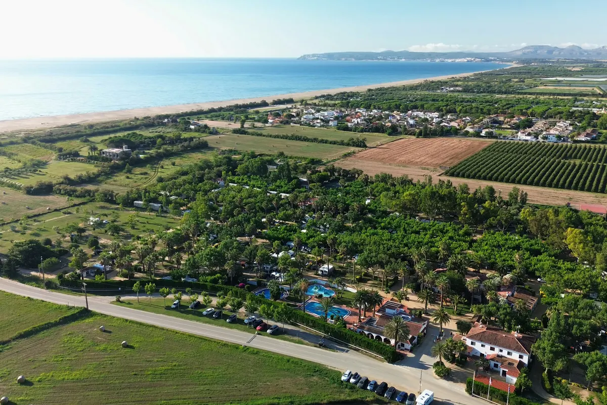 Las Palmeras