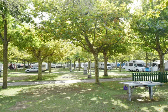 Camping Playa del Regatón