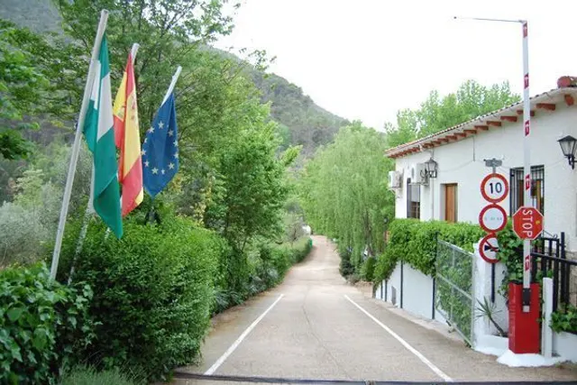 Camping Río Los Molinos