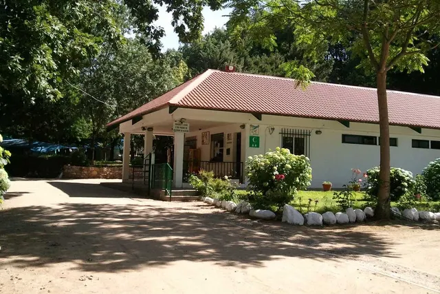 Jaranda