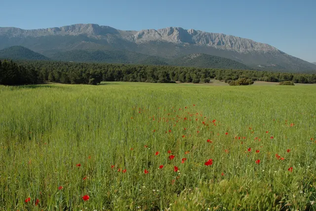 Campsite Sierra María