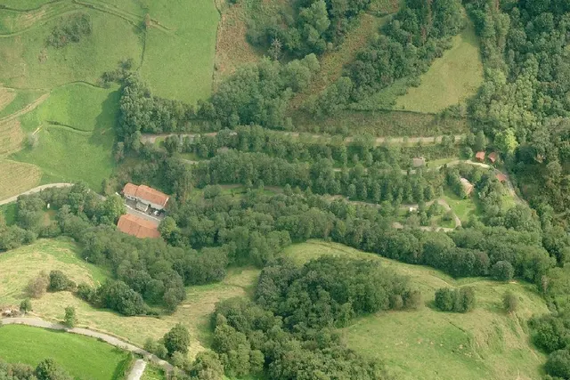 Zingira