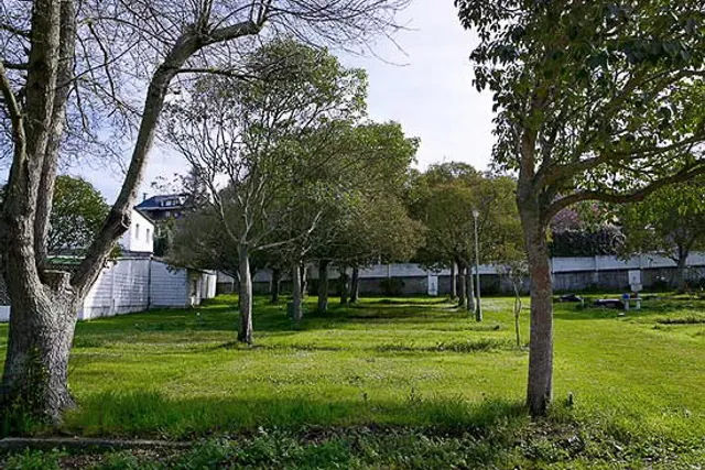 Green Village