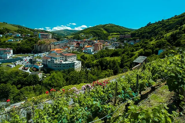 Área de autocaravanas de Cangas del Narcea