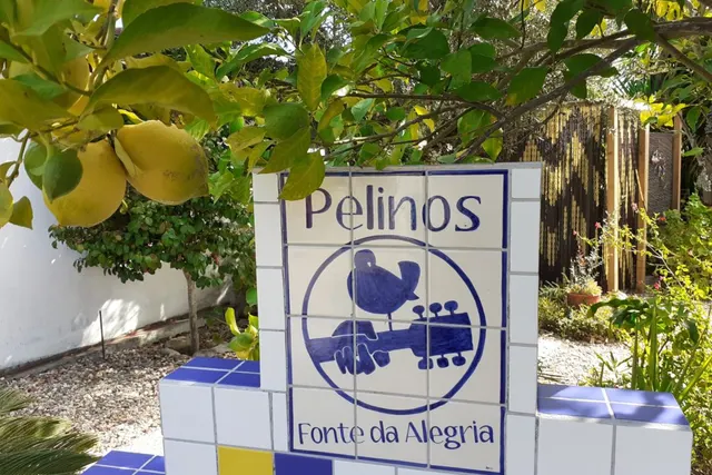 Camping Pelinos