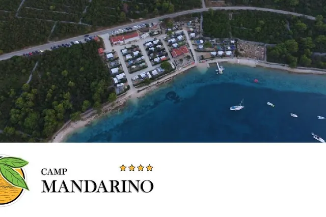 Mandarino