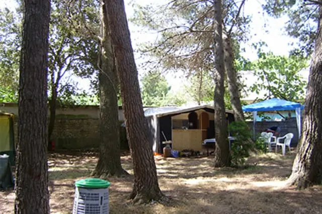 Sidro