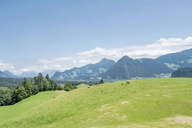 Stellplatz am Gasthof Rieder