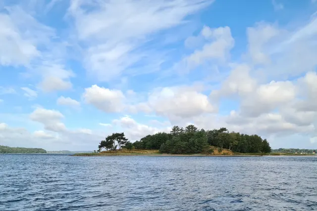 Fænø Kalv Teltplads