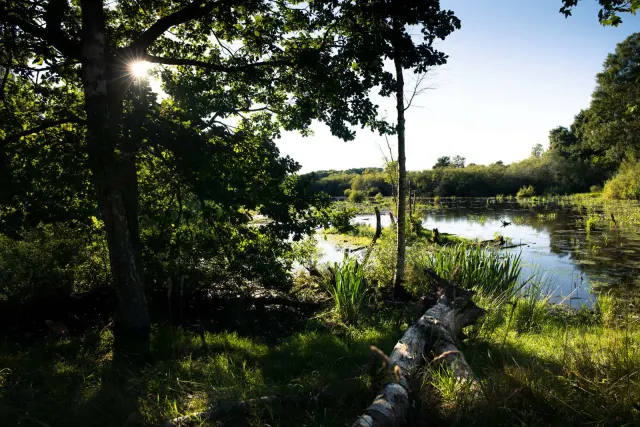Natur Pladser - fri Overnatting