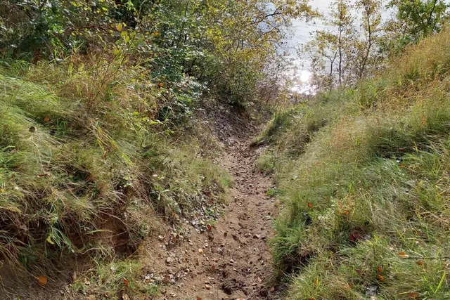 Stagsrode Skov Shelterplads
