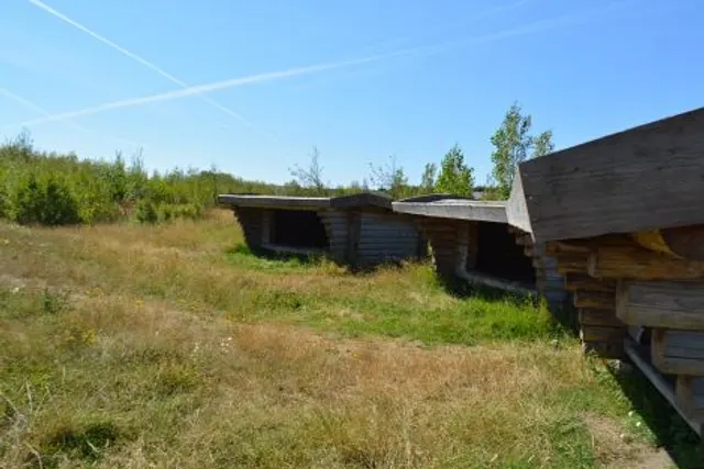 Ringkøbing Skole - Shelterplads