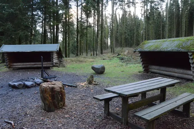 Hornet Shelterplads