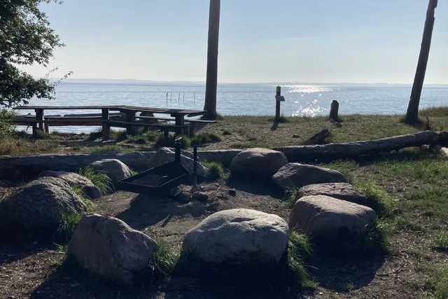 Bognæs Skov, Tuse Næs