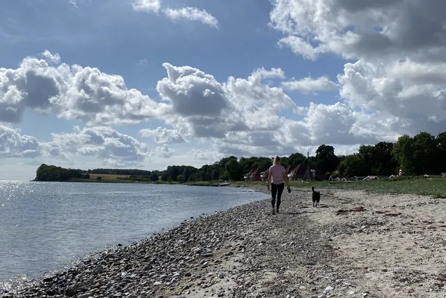 Rødkærgård Autocamperplads
