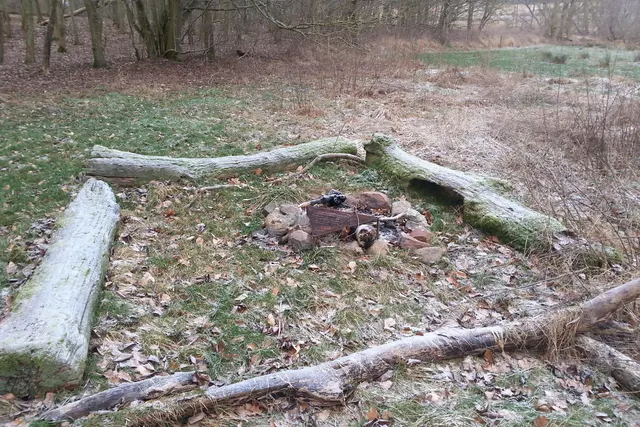 Primitiv overnatning