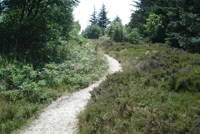 Grønnerup Strand Kajakplads