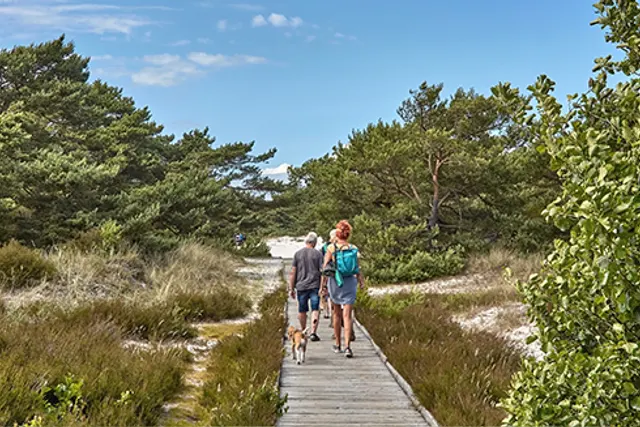 Møllers Dueodde Camping
