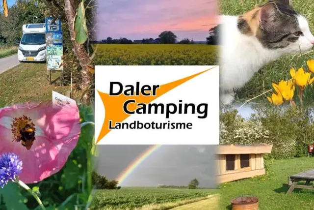 Daler Camping
