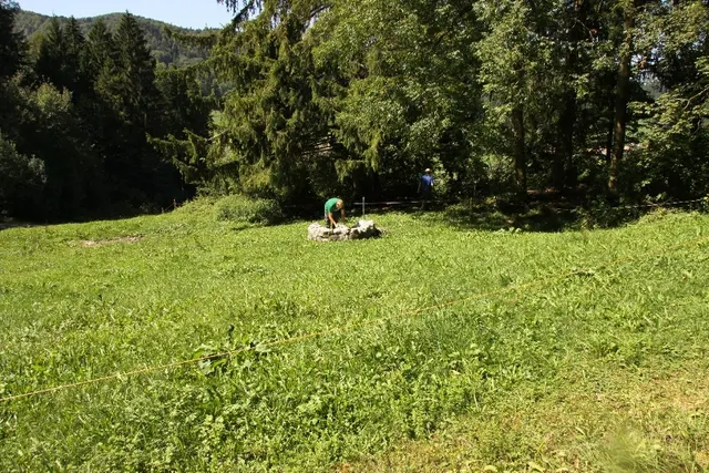 Lagerplatz Bichelsee