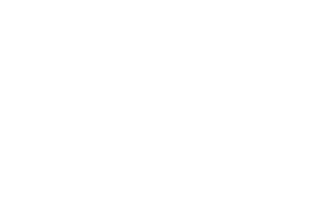 Camping Viva