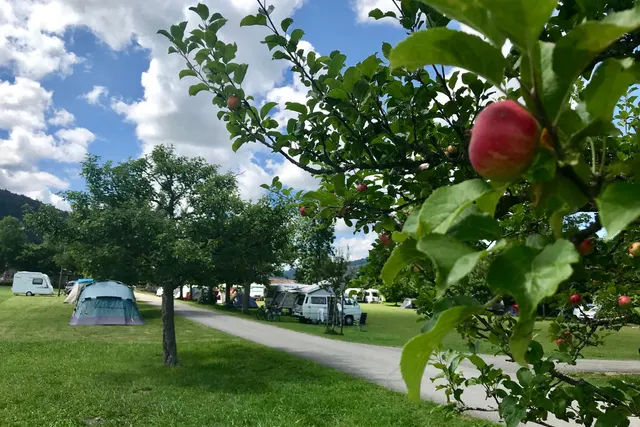 Camping de Belfond