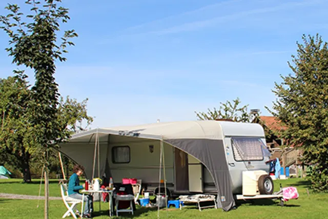 Manser