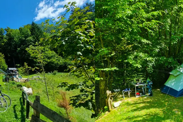 Kraljev hrib