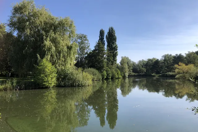 Camping Coeur d'Alsace