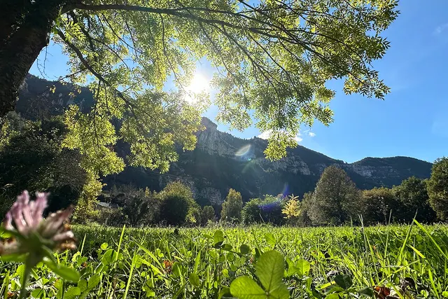 Aire naturelle de camping de Charbonnières