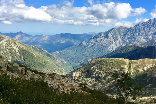 La Pinede