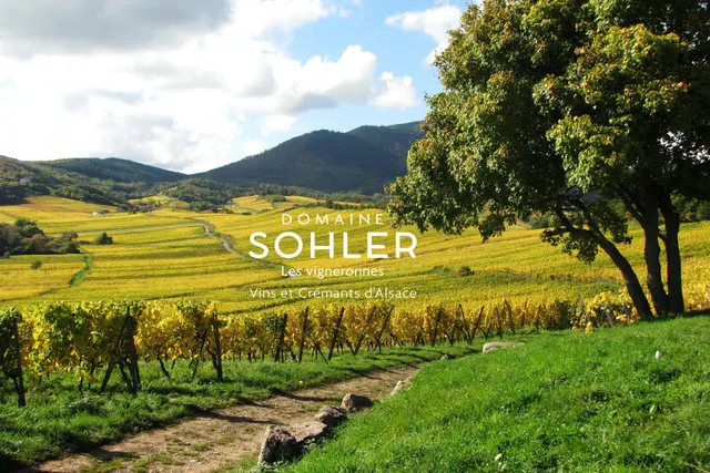 Aire de Services (Sohler Philippe)