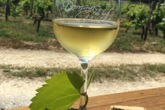 Domaine de la Gauche